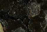 Septarian Dragon Egg Geode - Black Crystals #172801-1